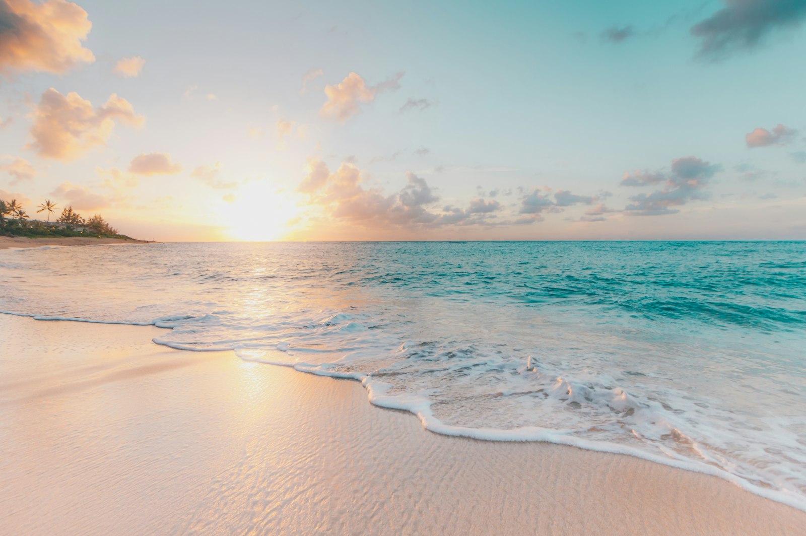 Tropical beach and ocean